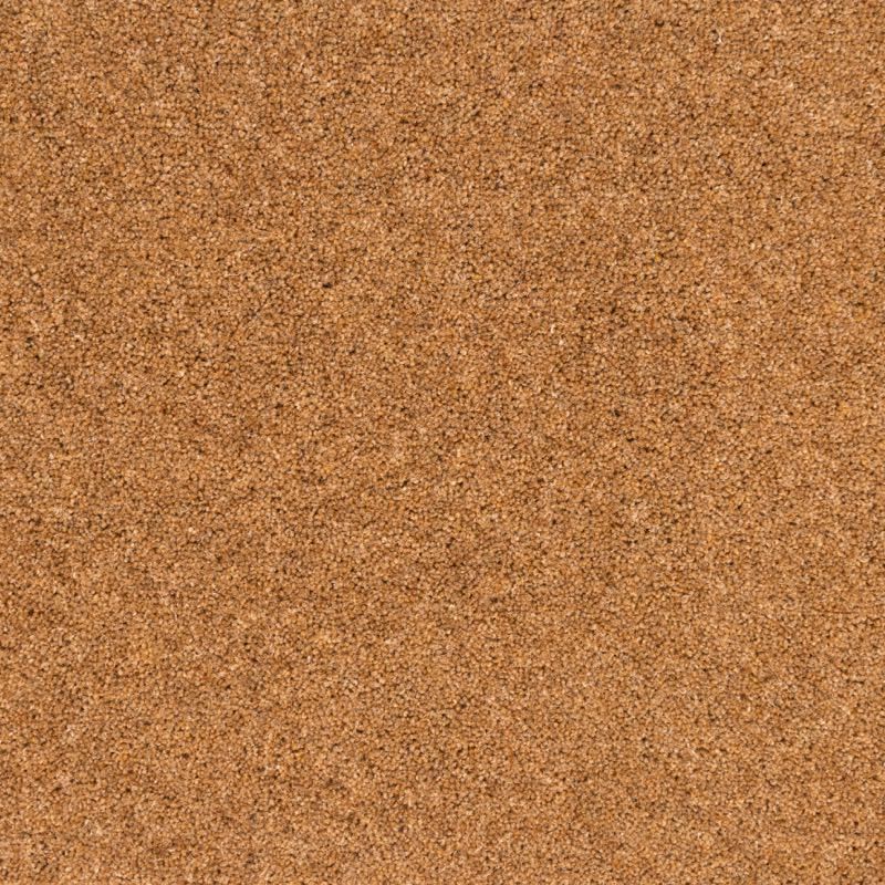 Penthouse Carpets Pentwist Naturals Kernel 50oz