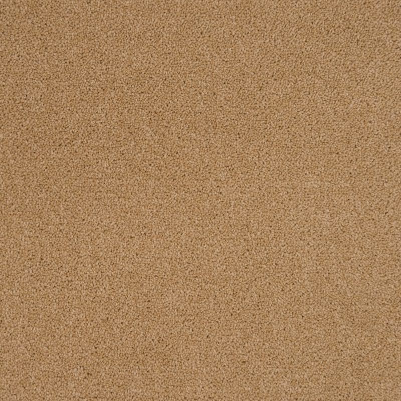 Penthouse Carpets Cumbrian Barrow 50oz