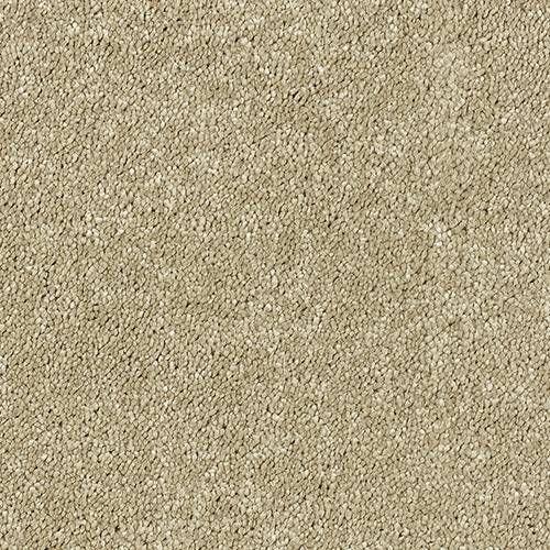 Abingdon Carpets Stainfree Sophisticat Latte