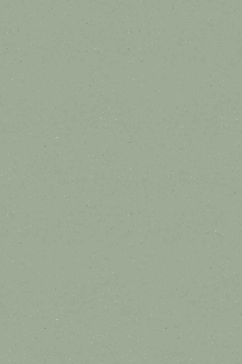 Dark Kelp 172072