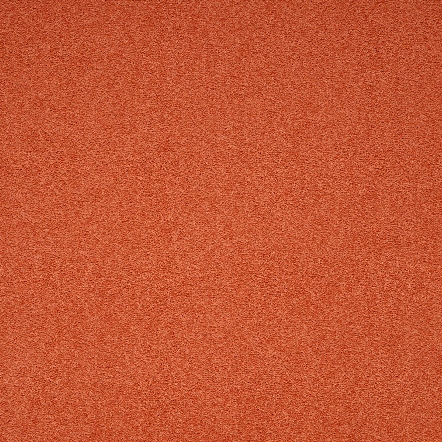 Paragon Maestro Carpet Tile Auburn Falls