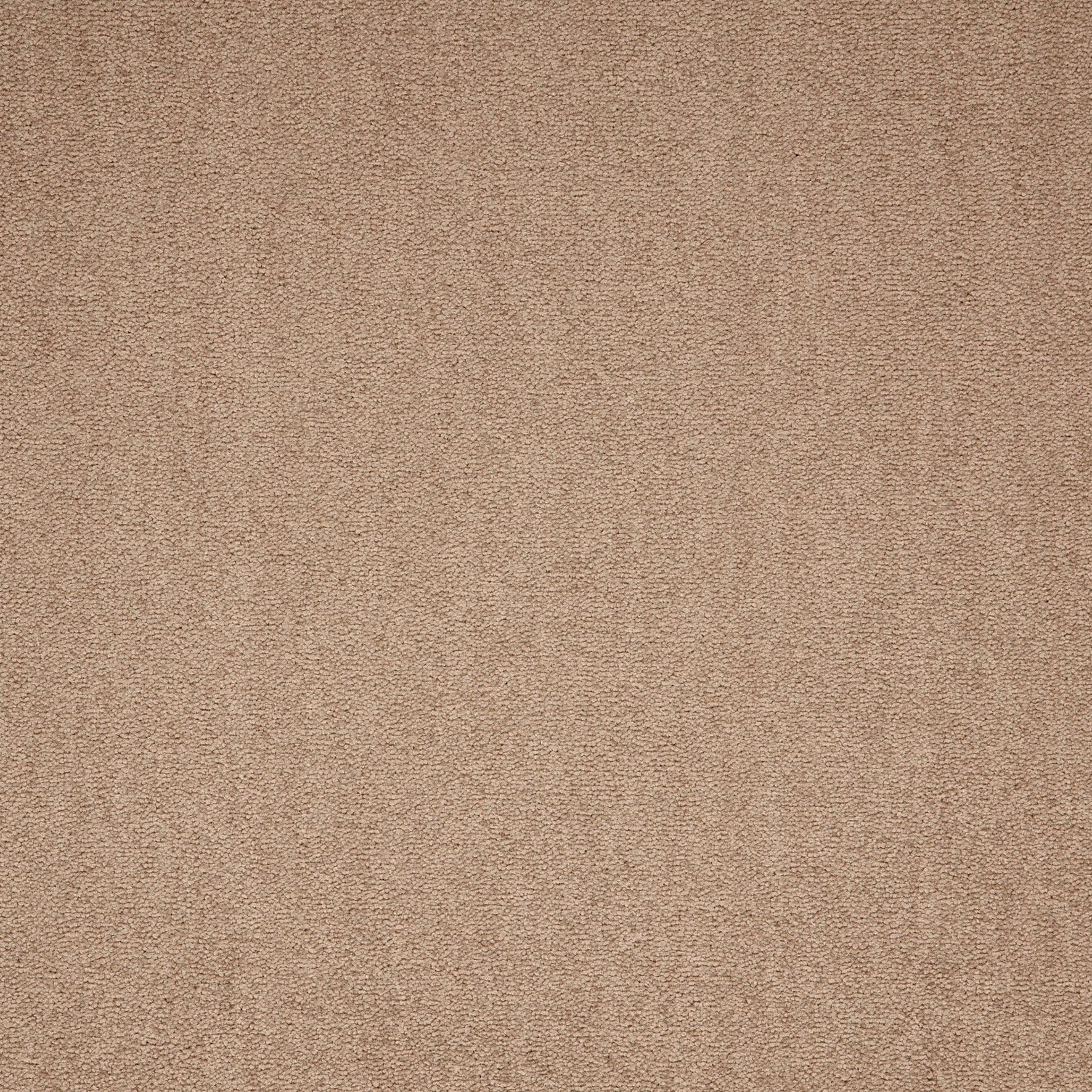 Paragon Maestro Carpet Tile Beige