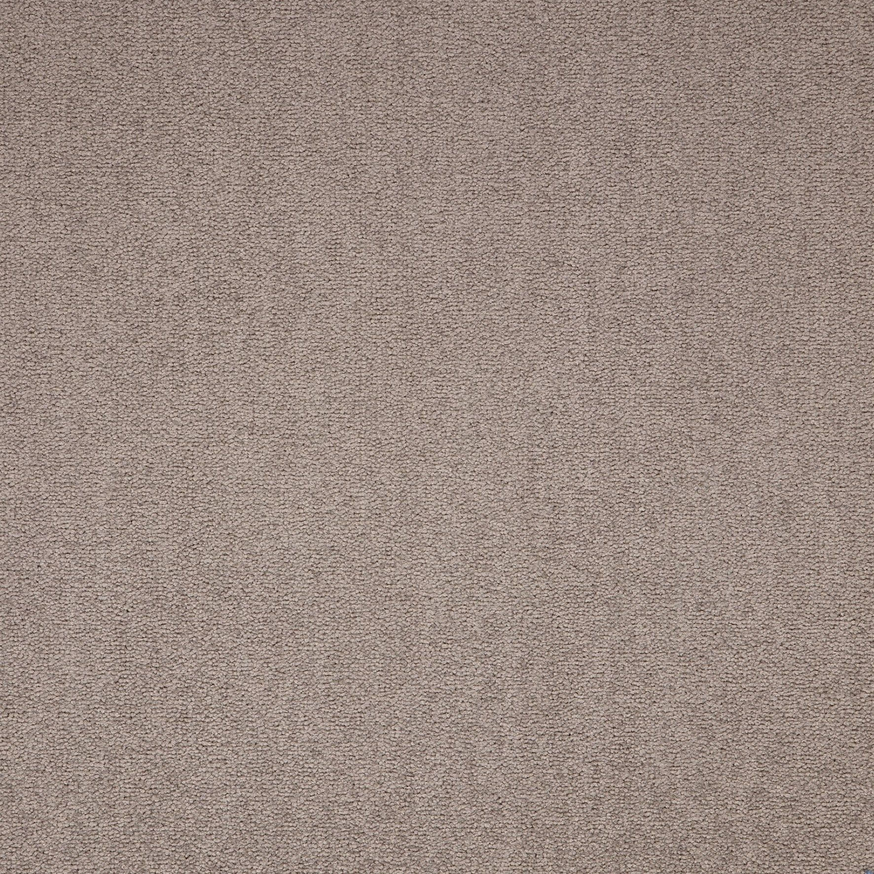 Paragon Maestro Carpet Tile Bracken Salts
