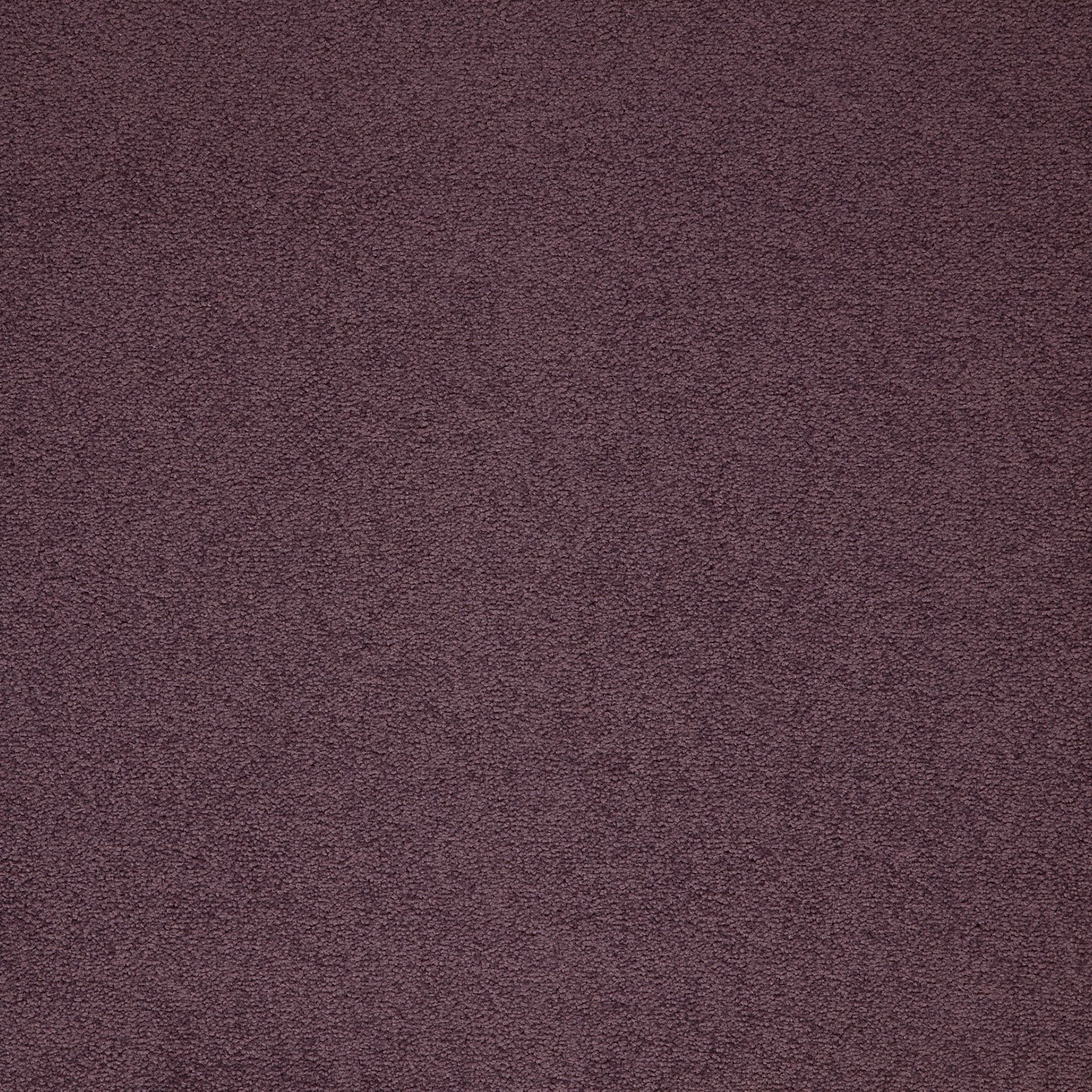 Paragon Maestro Carpet Tile Dusty Pink