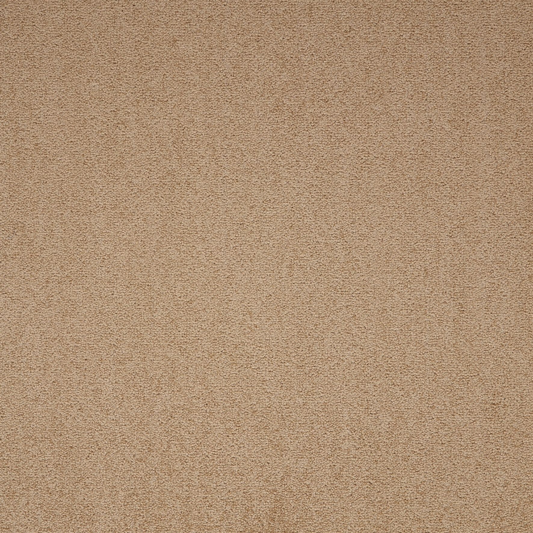 Paragon Maestro Carpet Tile Earth Glaze