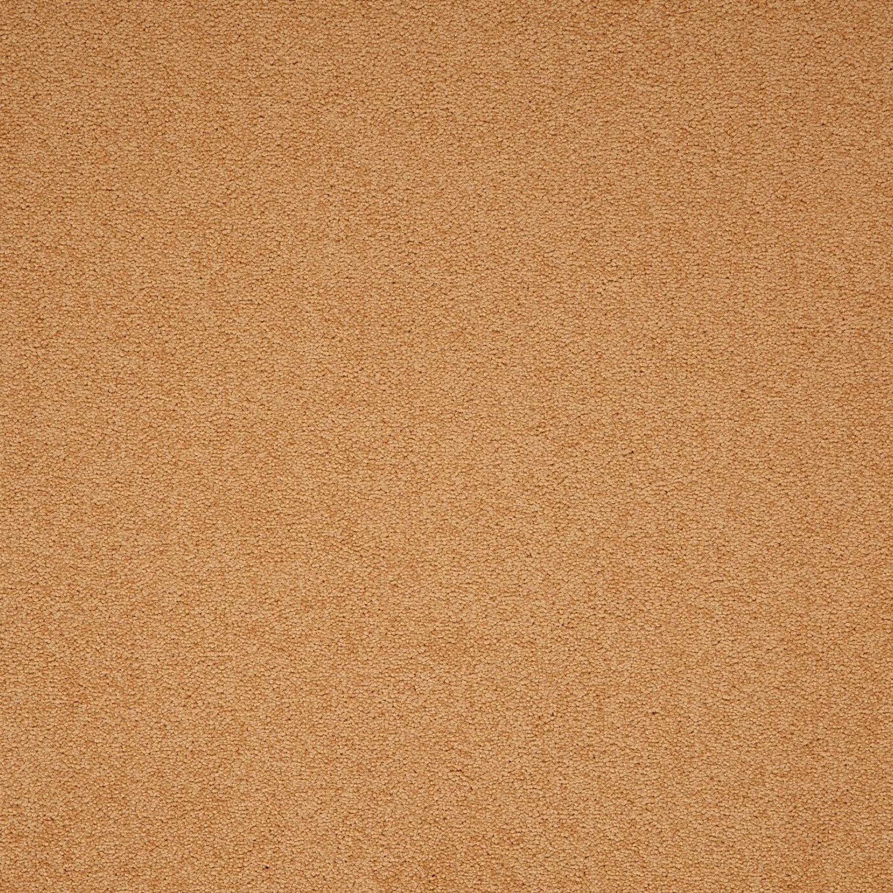Paragon Maestro Carpet Tile Gold