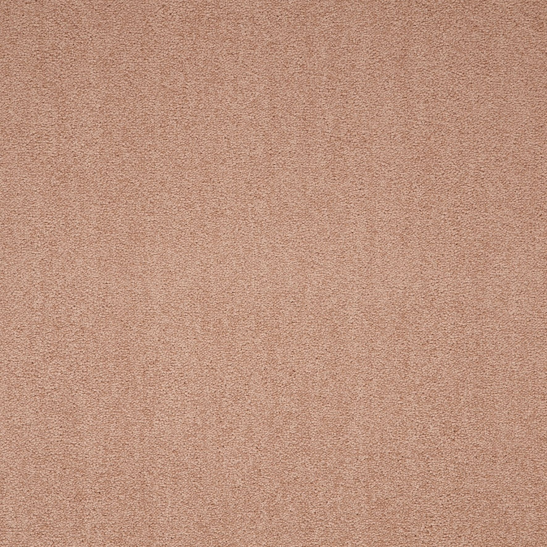 Paragon Maestro Carpet Tile Nutshell