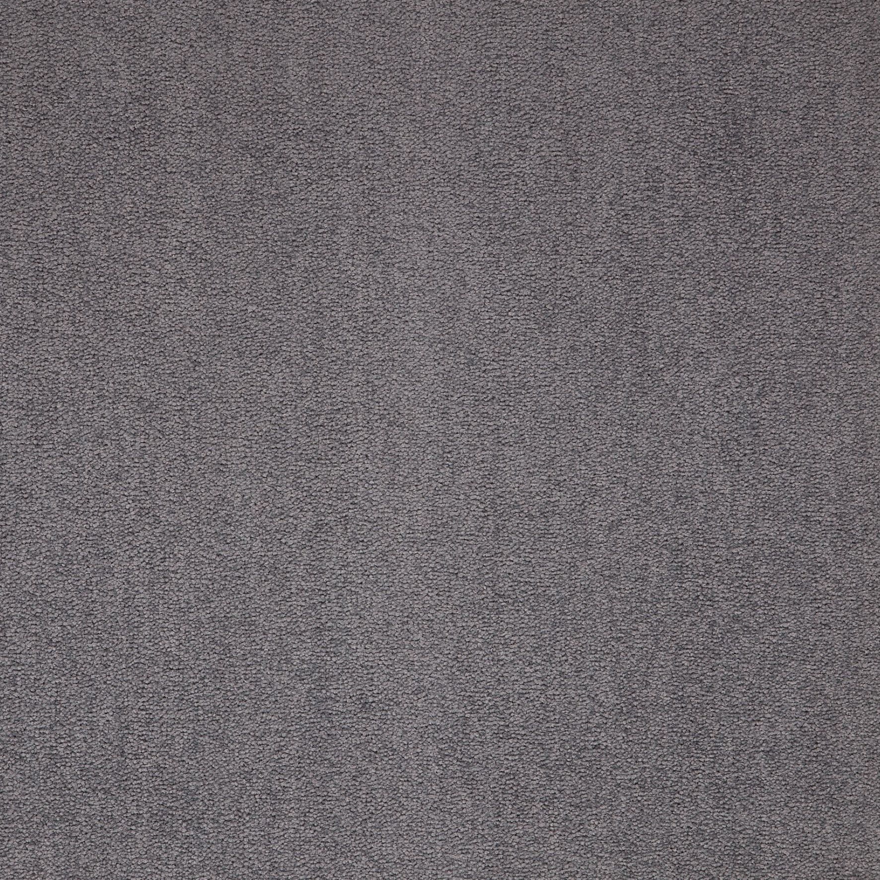 Paragon Maestro Carpet Tile Silver