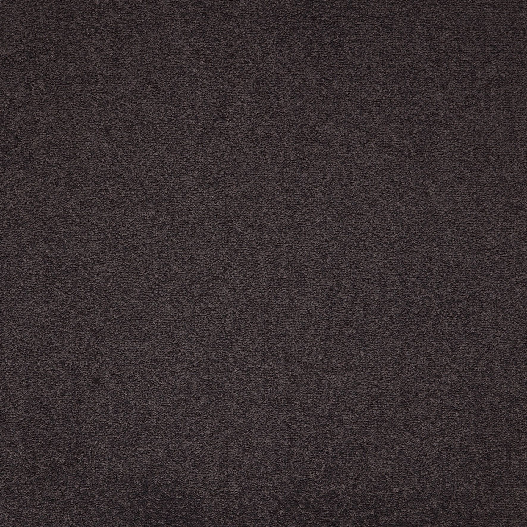 Paragon Maestro Carpet Tile Steel