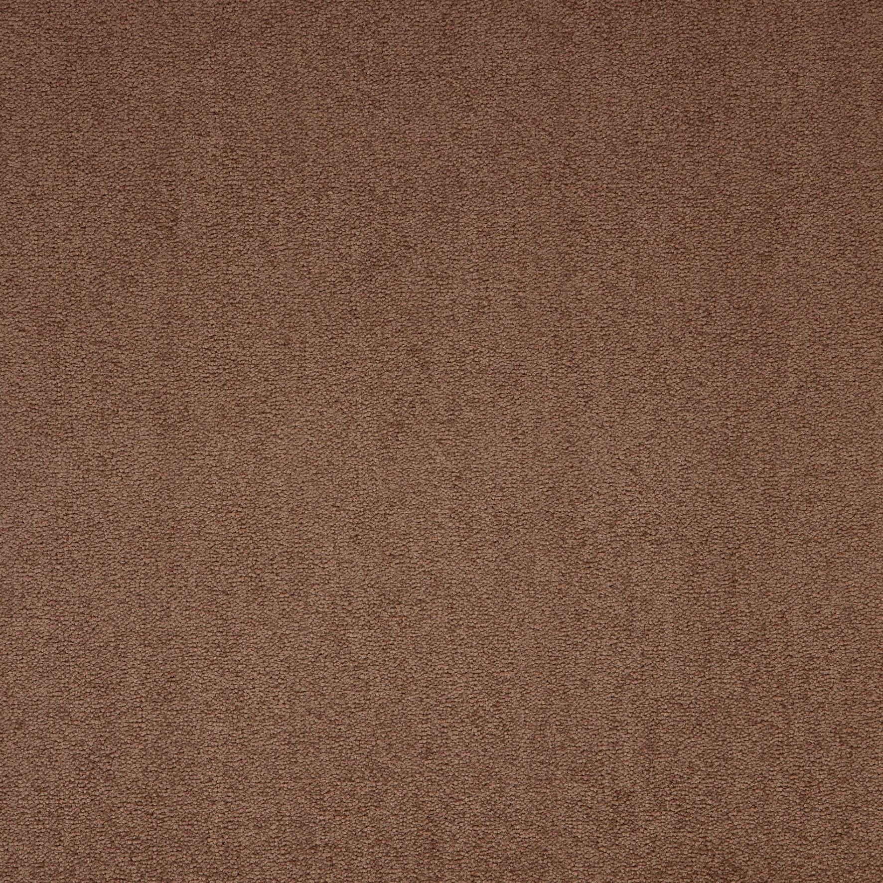 Paragon Maestro Carpet Tile Sunflower Symphony