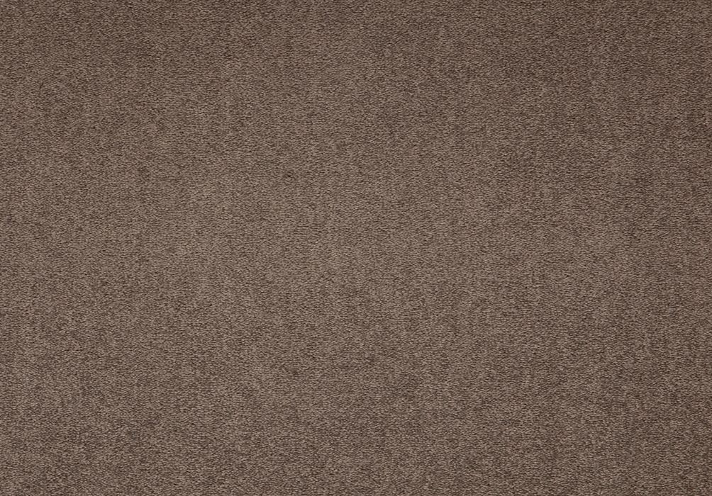 Paragon Maestro Carpet Tile Velvet Truffle