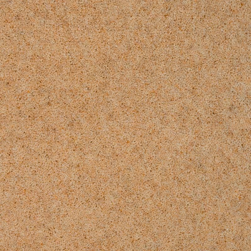Penthouse Carpets Vermont Memphis 60oz