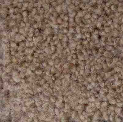 JHS Haywood Twist Premier Carpet Mink