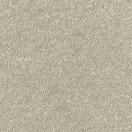 Abingdon Carpets Stainfree Sophisticat Mink