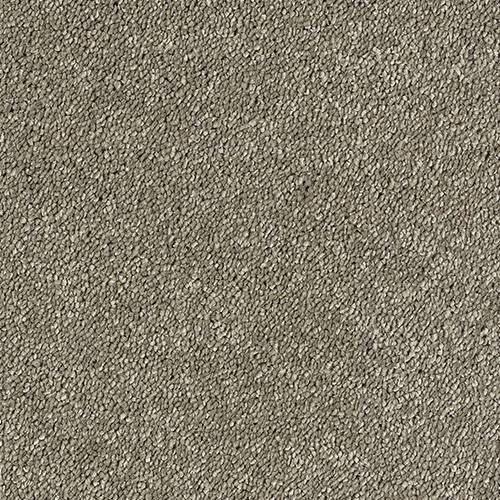 Abingdon Carpets Stainfree Sophisticat Mocha