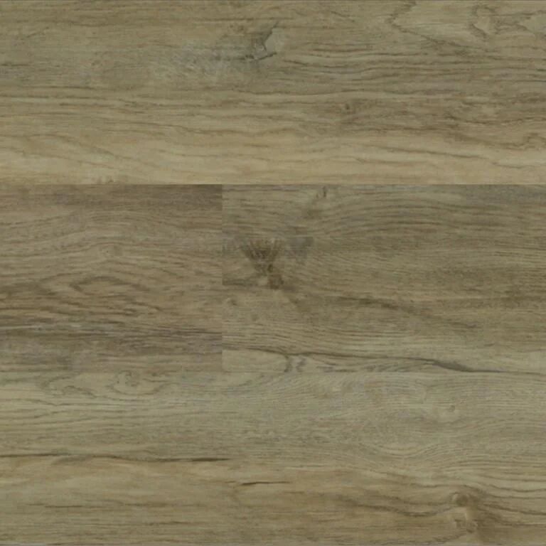 Harbor Oak