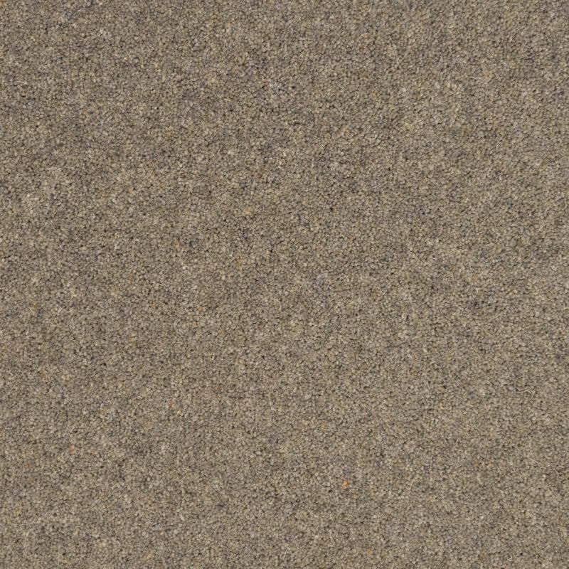 Penthouse Carpets Shoreline Atoll 40oz