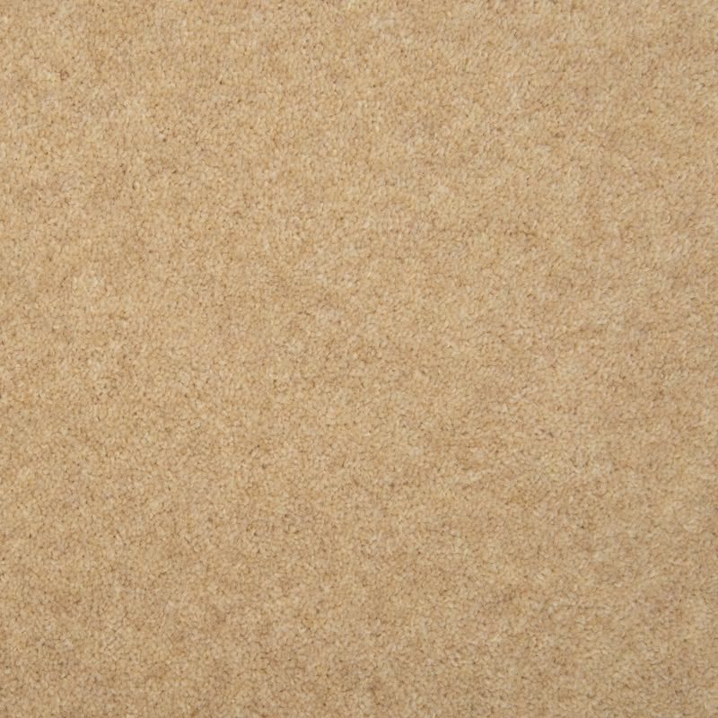 Penthouse Carpets Esprit Nouveau Omega 75oz