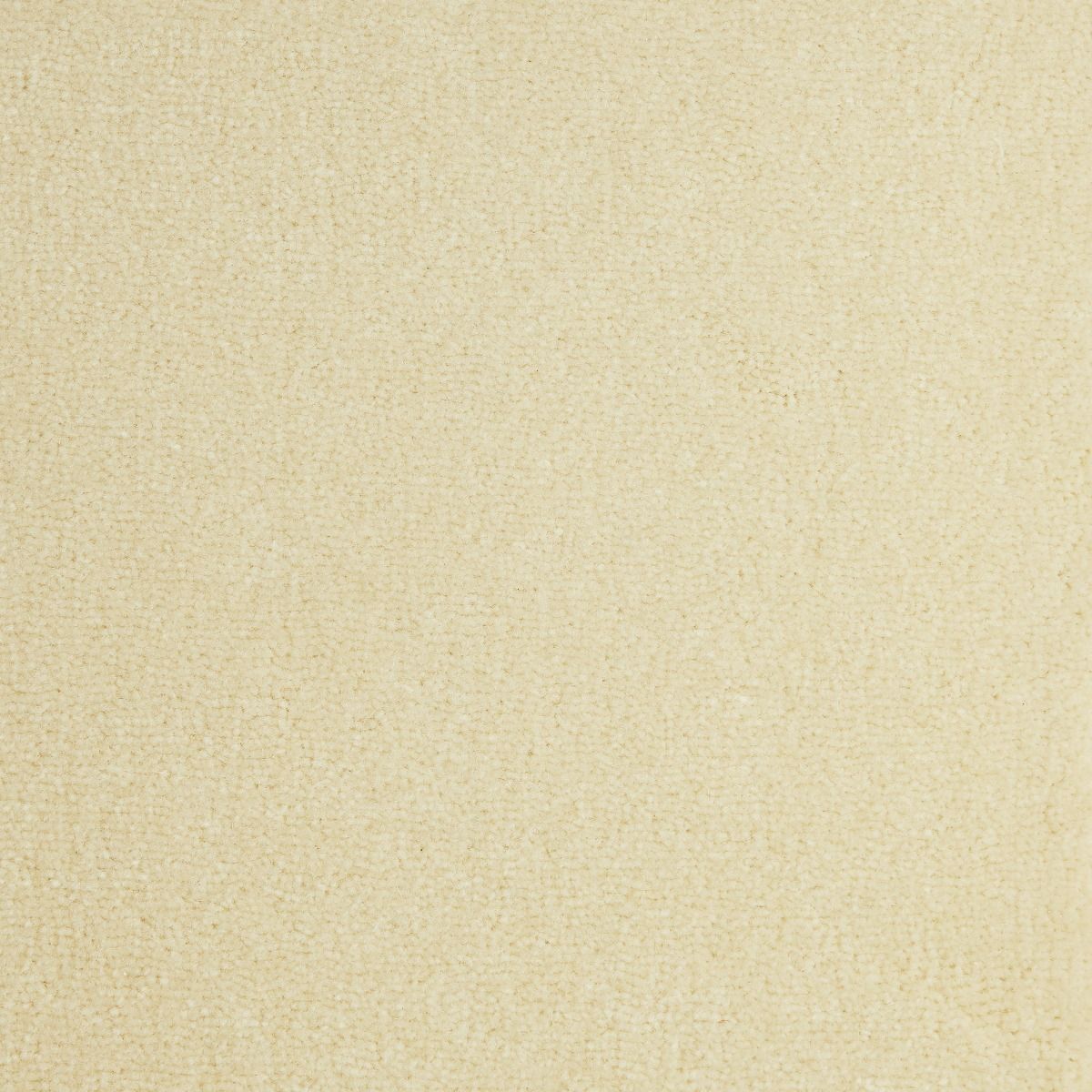 Westex Carpet Pure Luxury Wool Opulence Ermine