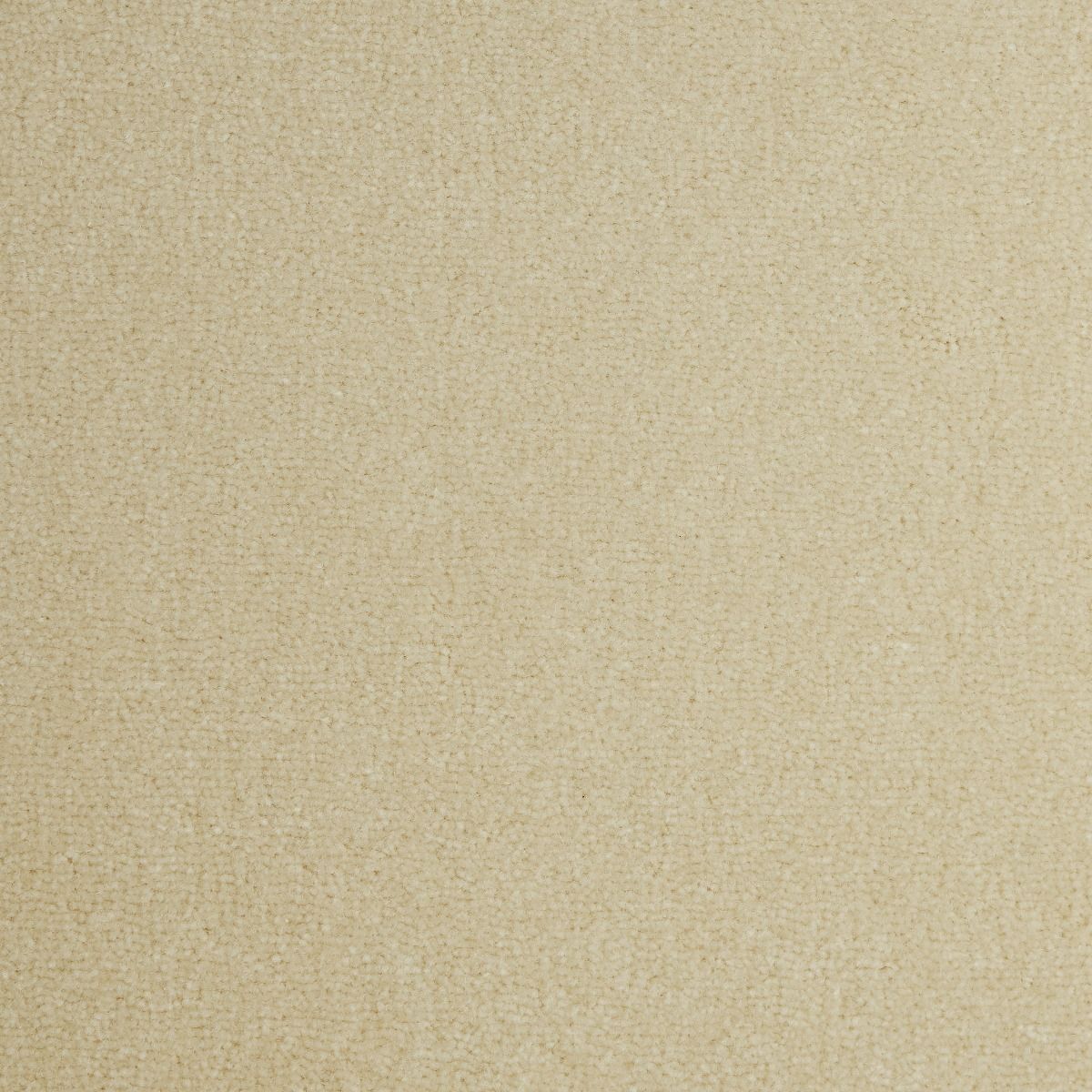 Westex Carpet Pure Luxury Wool Opulence Magnolia