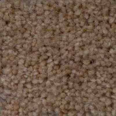 JHS Haywood Twist Standard Carpet Pecan