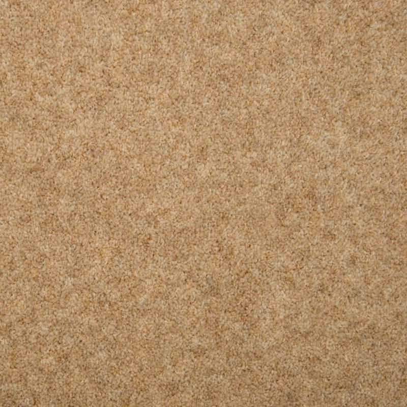 Penthouse Carpets Esprit Nouveau Pegasus 50oz