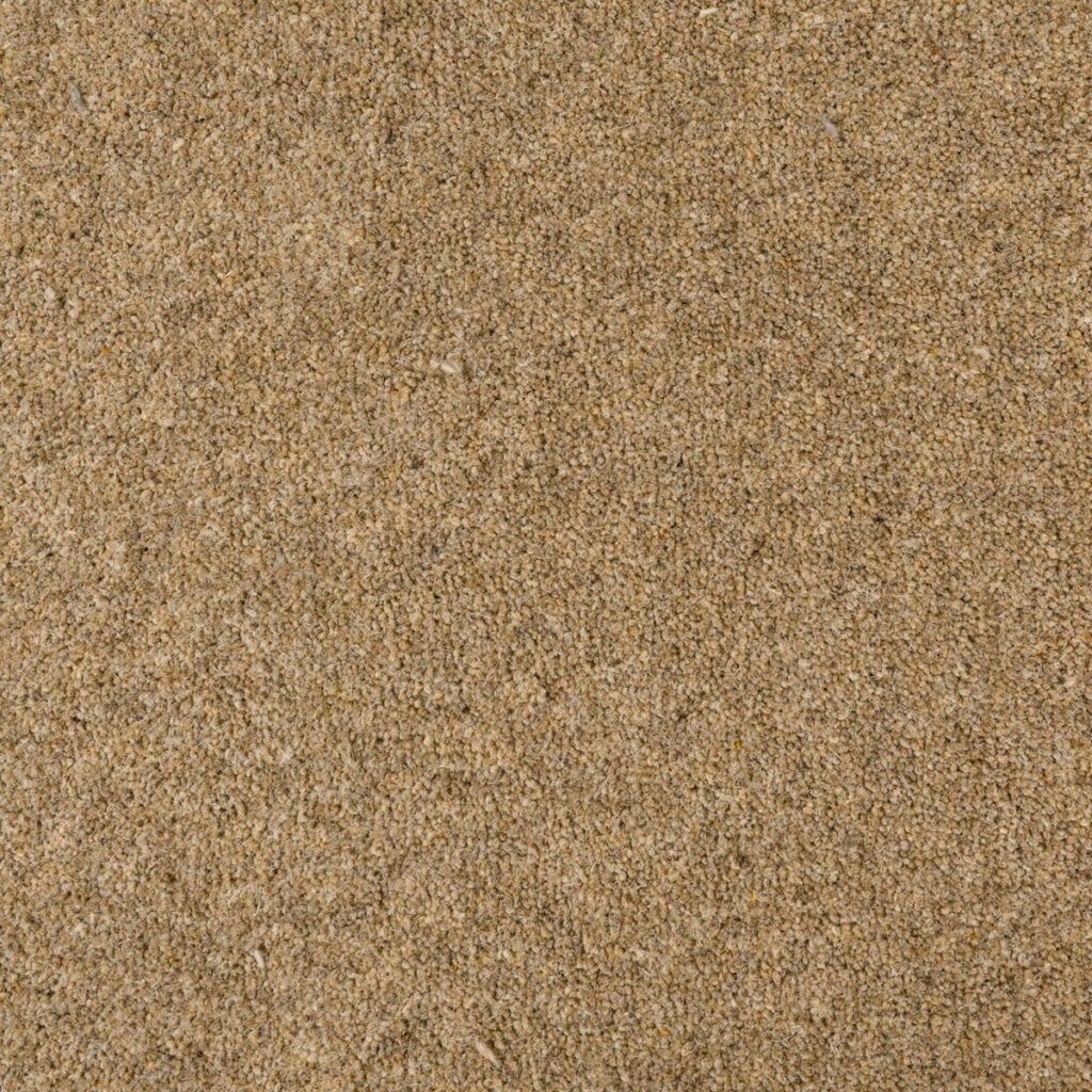 Penthouse Carpets Seasons Autumn