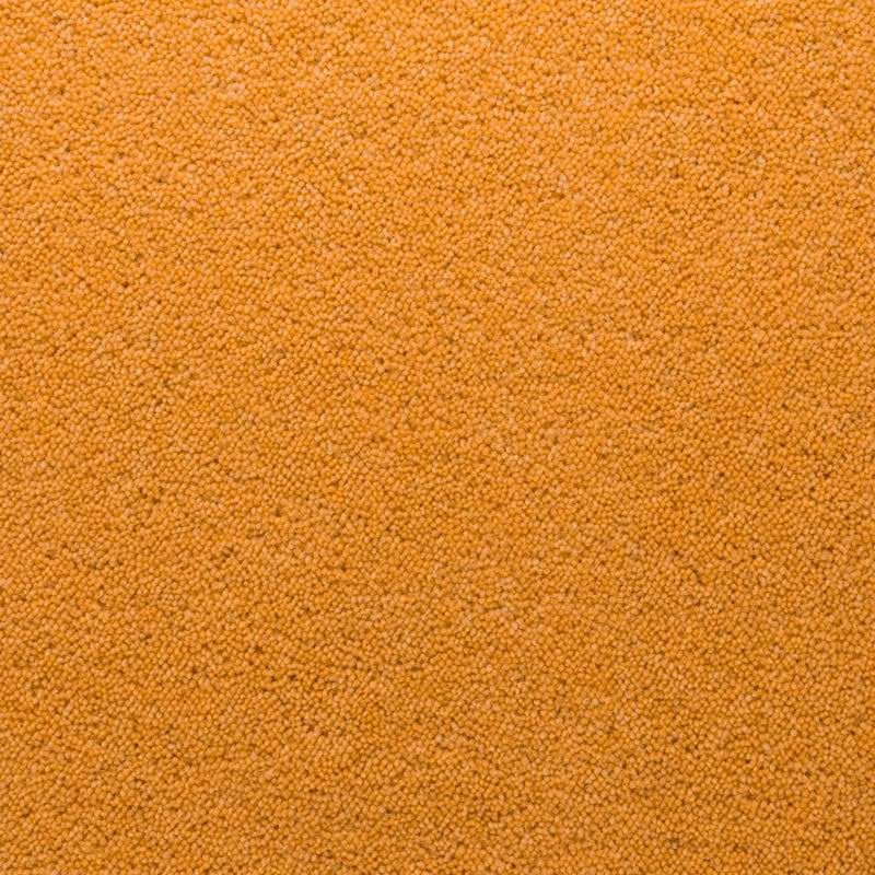 Penthouse Carpets Stateside Goldsboro 50oz