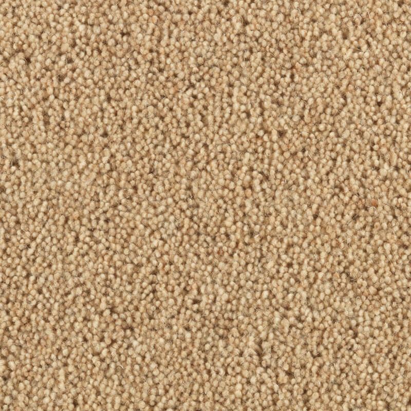 Penthouse Carpets Carlton Almond 42oz