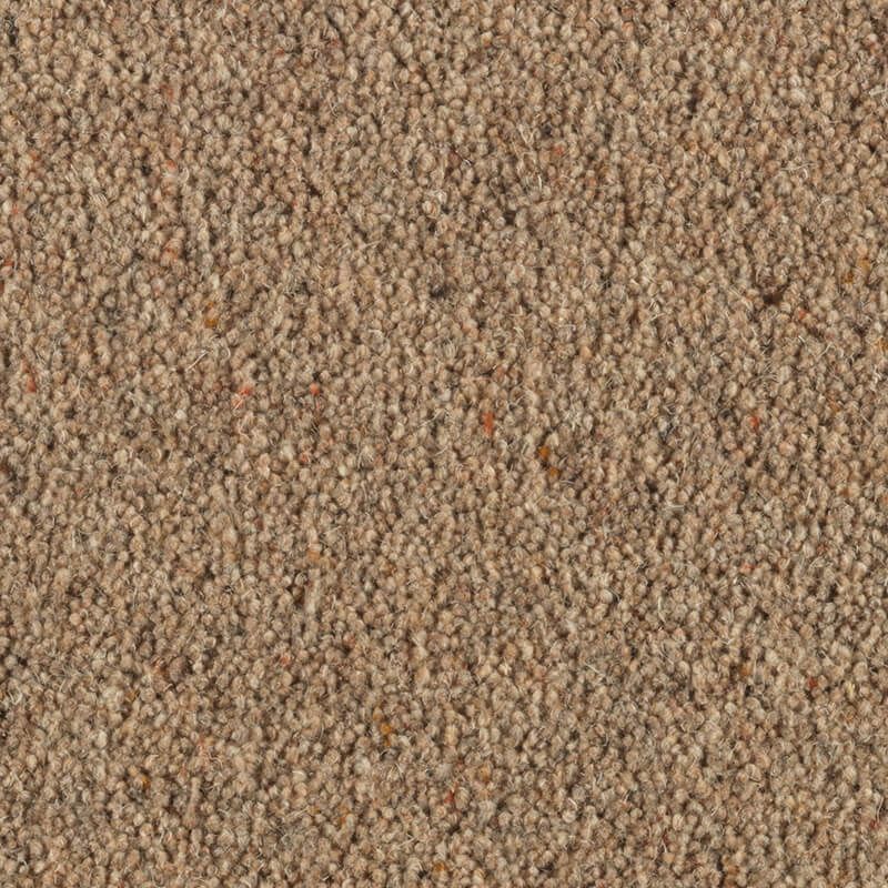 Penthouse Carpets Carlton Almond 36oz