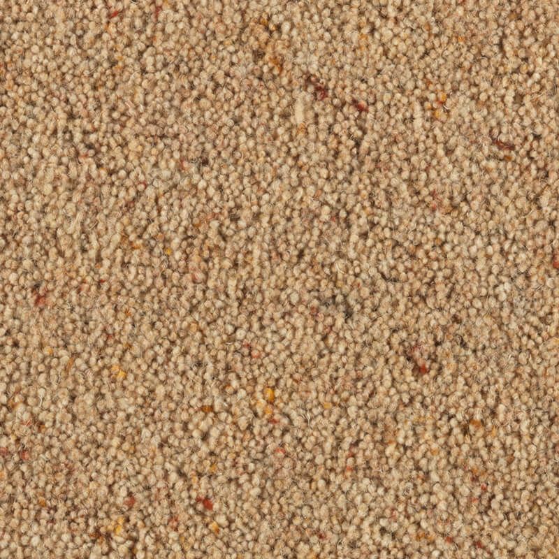 Penthouse Carpets Carlton Arrowroot 42oz