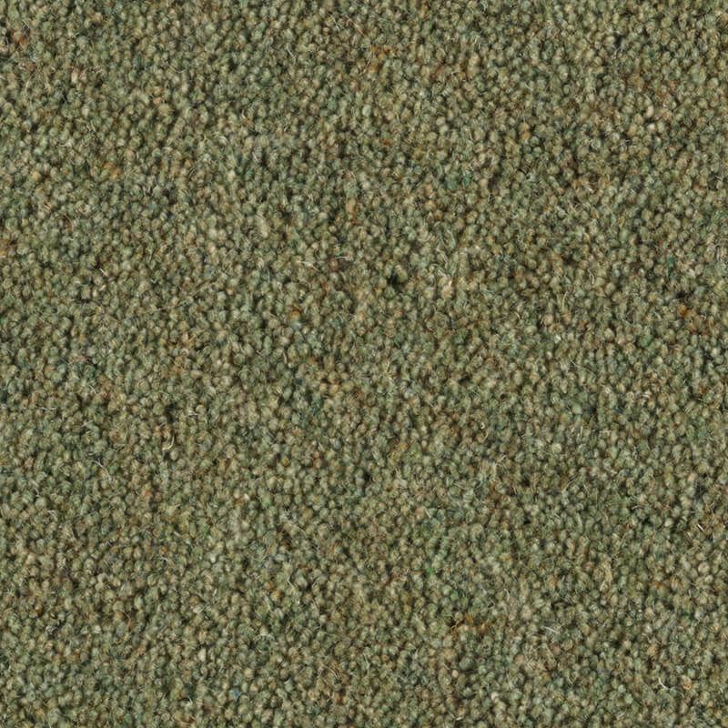 Penthouse Carpets Carlton Arrowroot 42oz