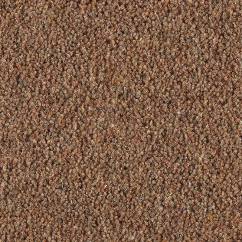 Penthouse Carpets Carlton Arrowroot 42oz