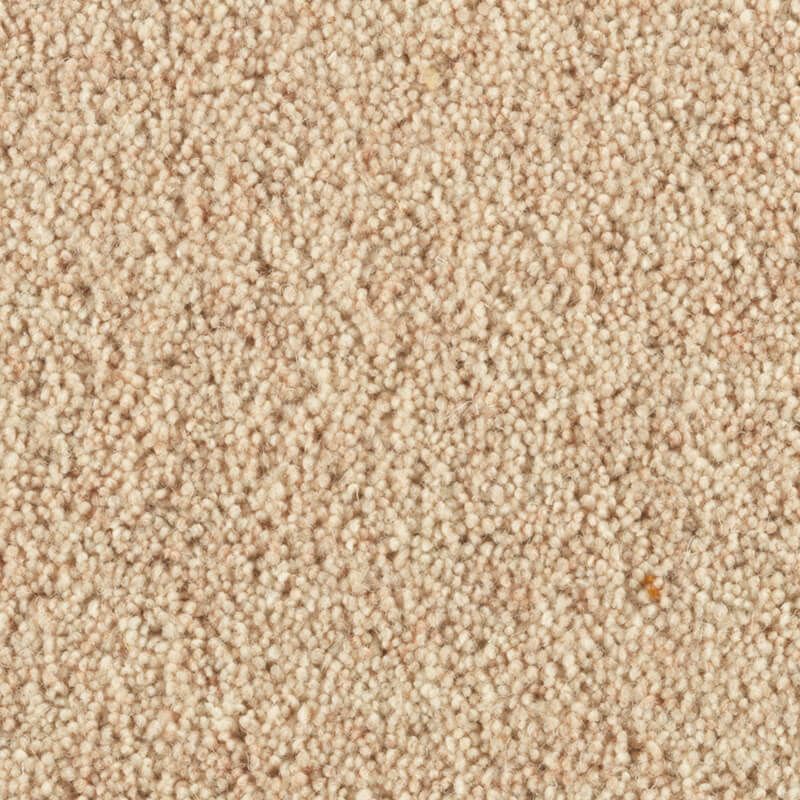 Penthouse Carpets Carlton Almond 36oz