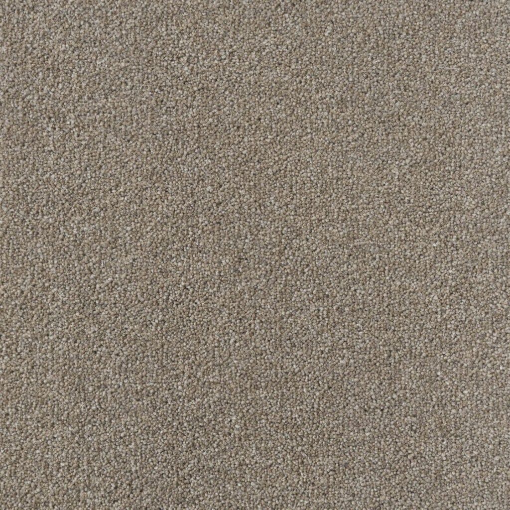 Penthouse Carpets Colorado Boulder 55oz