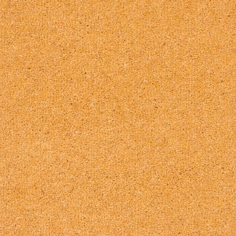 Penthouse Carpets Prism Amber 40oz