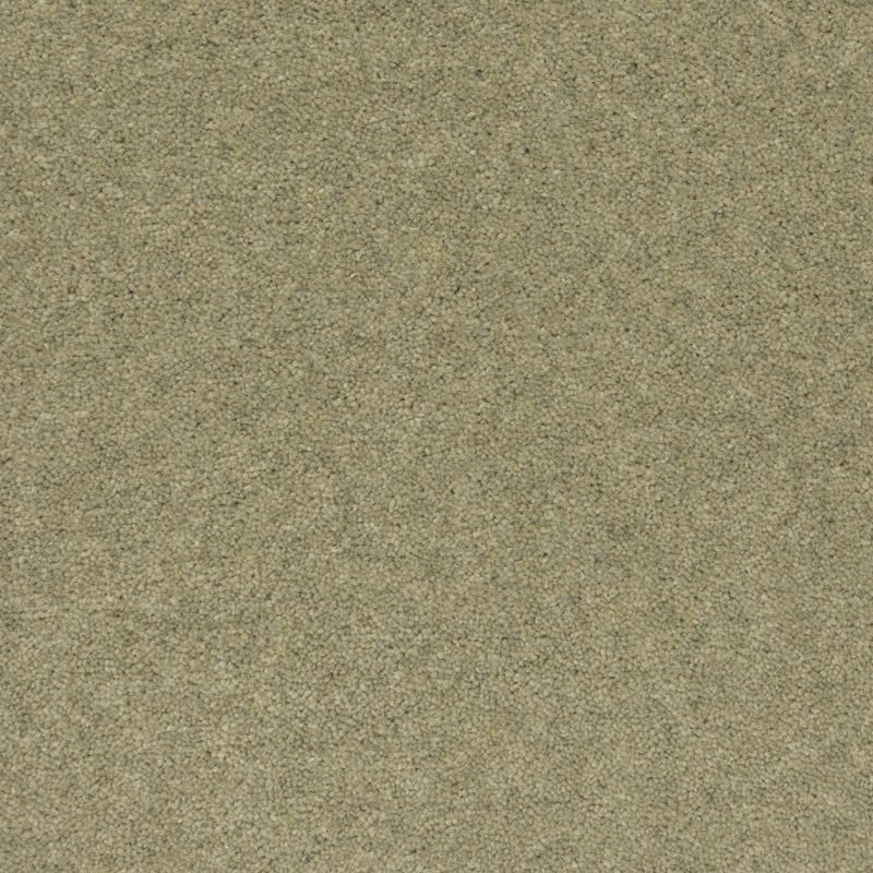 Penthouse Carpets Prism Carnelian 40oz