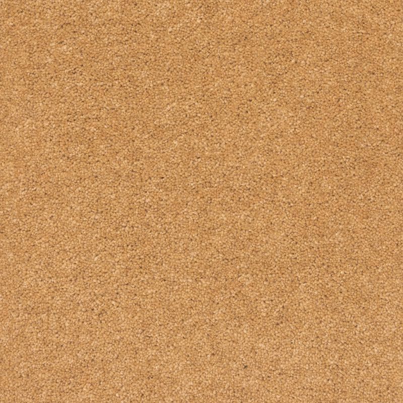 Penthouse Carpets Prism Carnelian 40oz