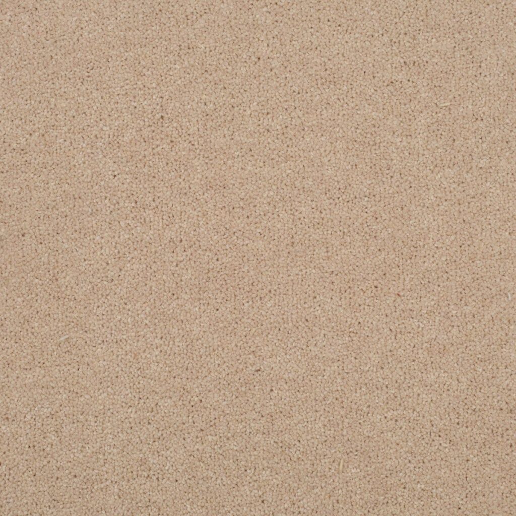 Penthouse Carpets Stratford Diana 50oz
