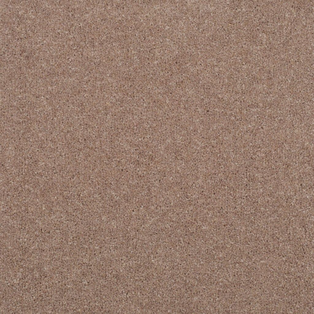 Penthouse Carpets Stratford Diana 50oz