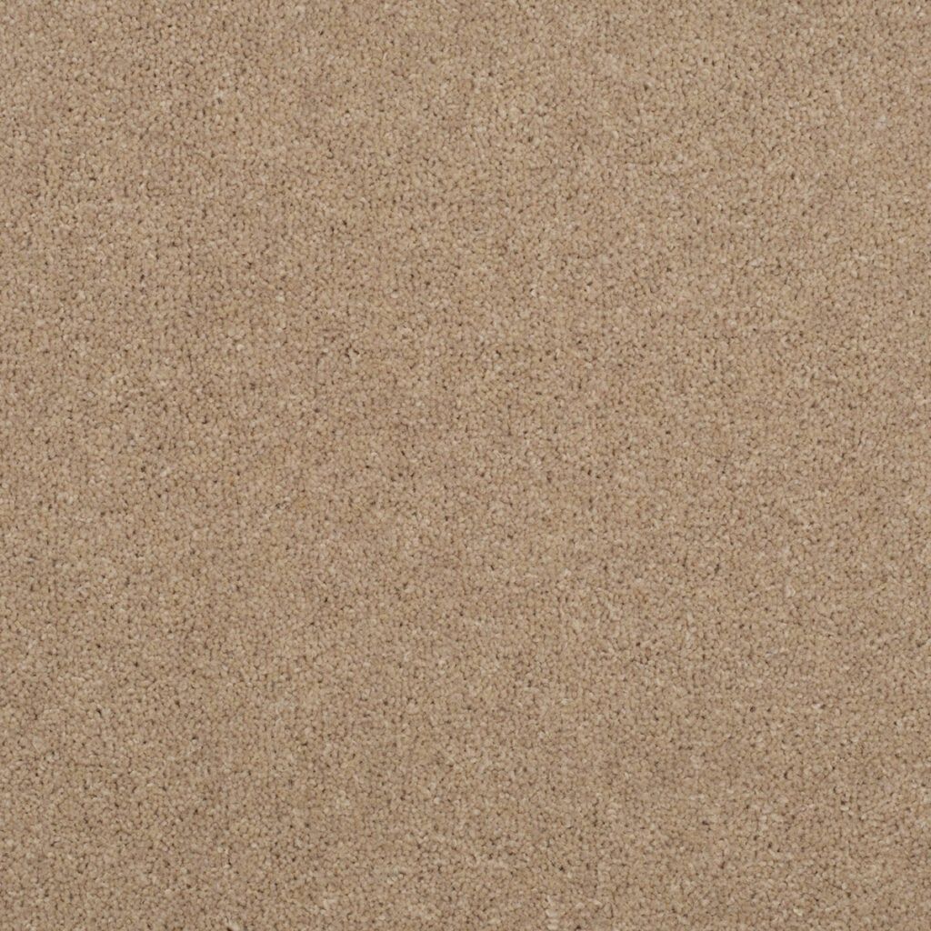 Penthouse Carpets Stratford Diana 40oz
