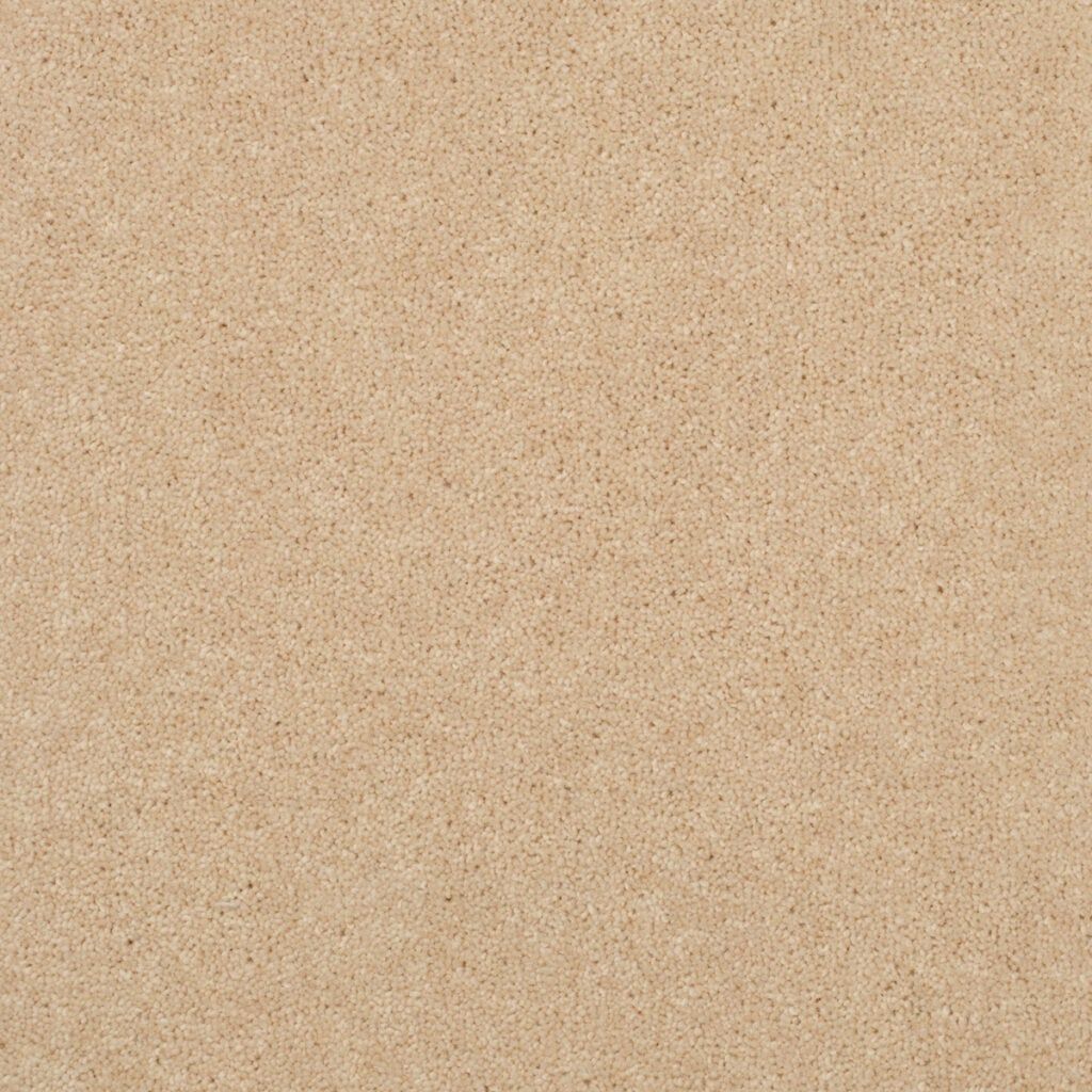 Penthouse Carpets Stratford Diana 50oz