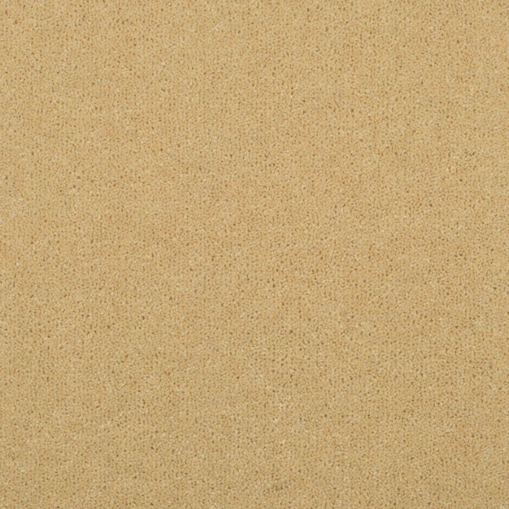 Penthouse Carpets Stratford Diana 50oz