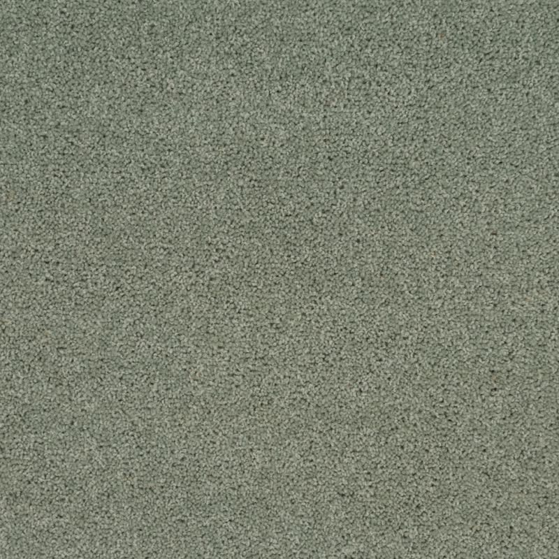 Penthouse Carpets Super Maxim Angelica 50oz