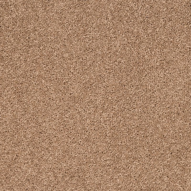 Penthouse Carpets Super Maxim Cane 40oz
