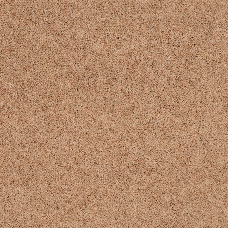 Penthouse Carpets Super Maxim Angelica 50oz