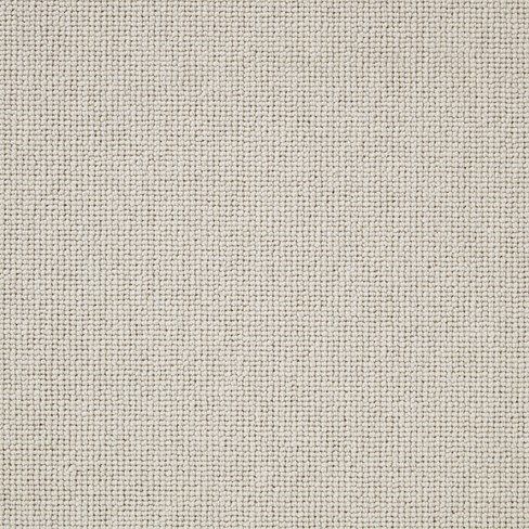 Pimlico Calico