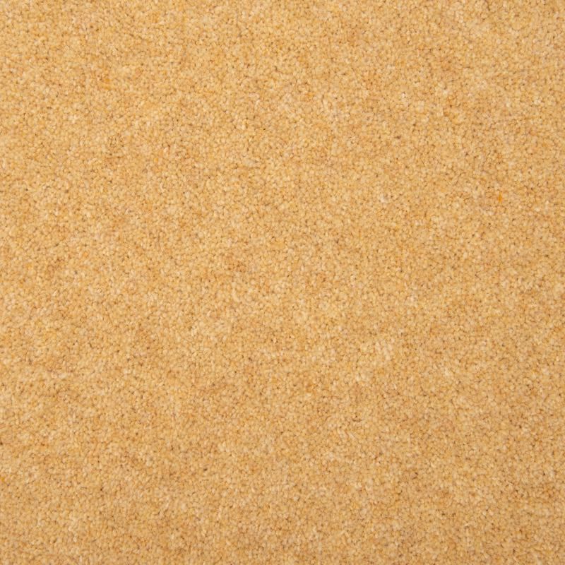 Penthouse Carpets Esprit Nouveau Altair 50oz