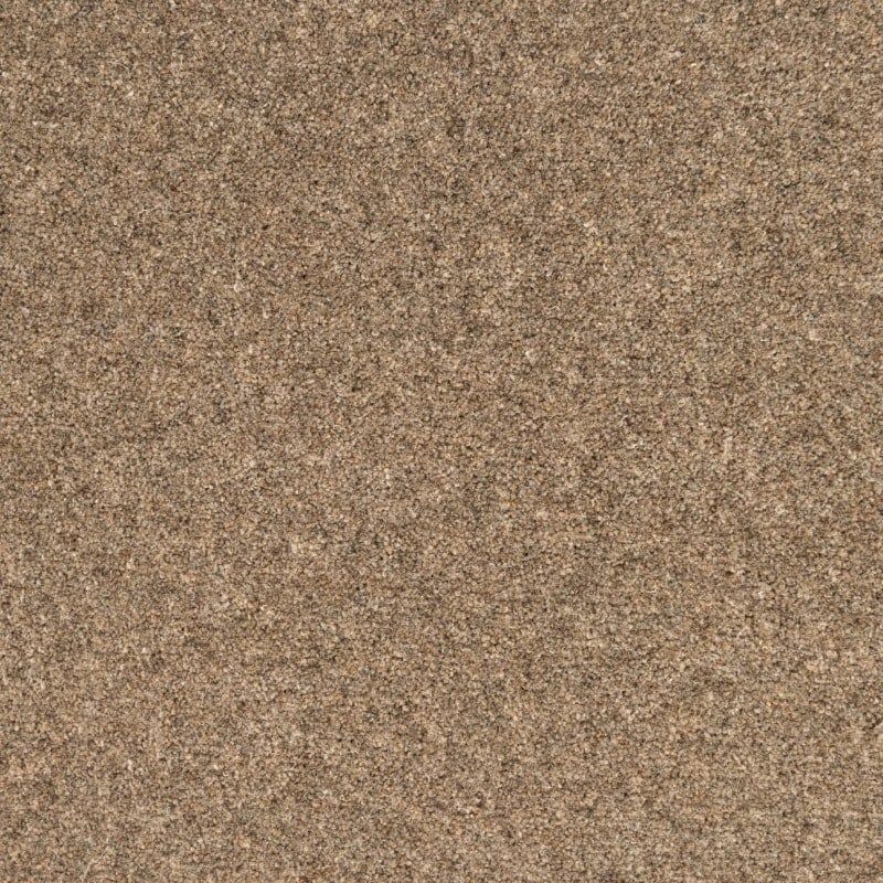 Penthouse Carpets Springtime Cheviot 50oz