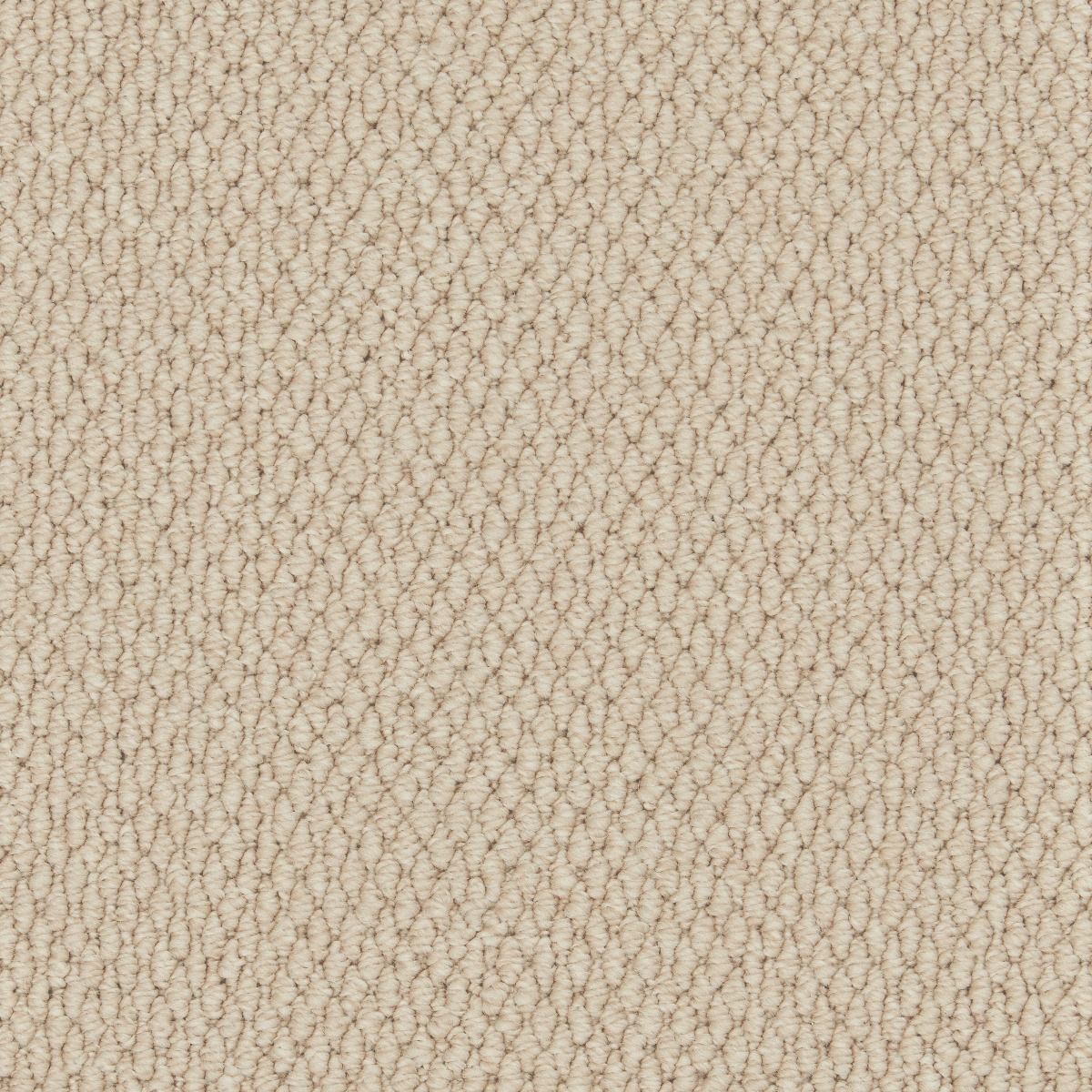 Cormar Carpet Co Primo Textures Canvas